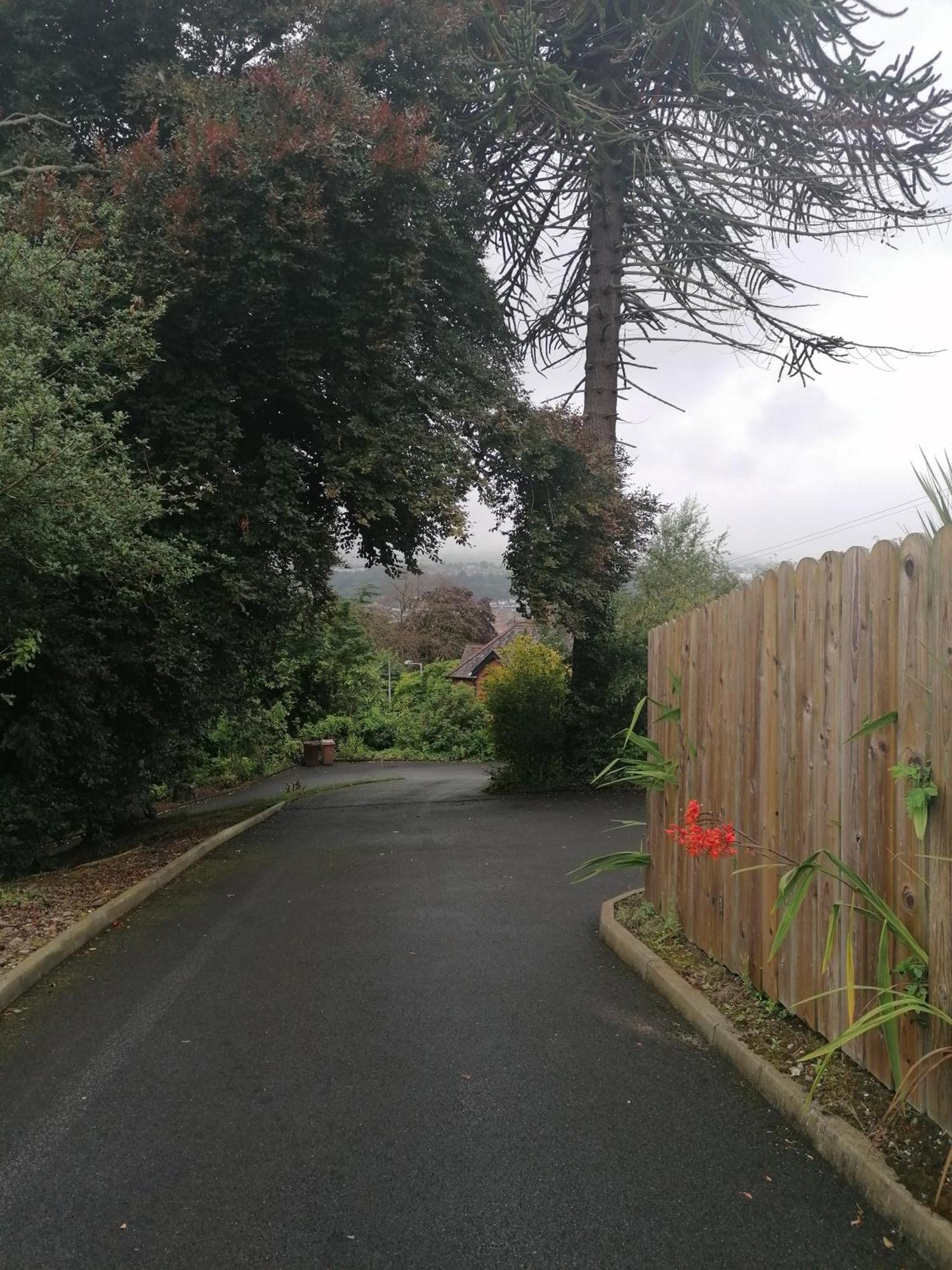 The Beeches Daire Newry Dış mekan fotoğraf